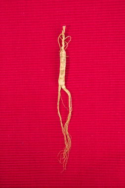 Ginseng. arka planda ginseng