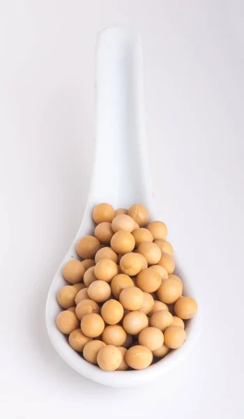 大豆在白色背景下被分离 — 图库照片