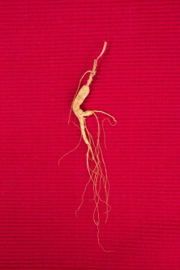 Ginseng. arka planda ginseng
