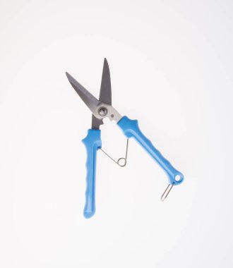 makas veya bir arka bahçe secateurs