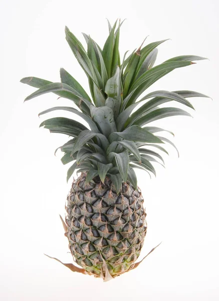 Pineapple Pineapple Tropical Fruit Background — Stock Photo, Image