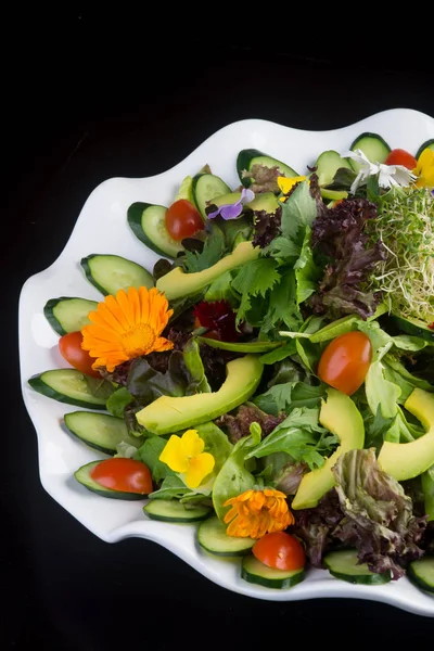 Salade. salade sur le fond — Photo
