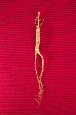 Ginseng. arka planda ginseng