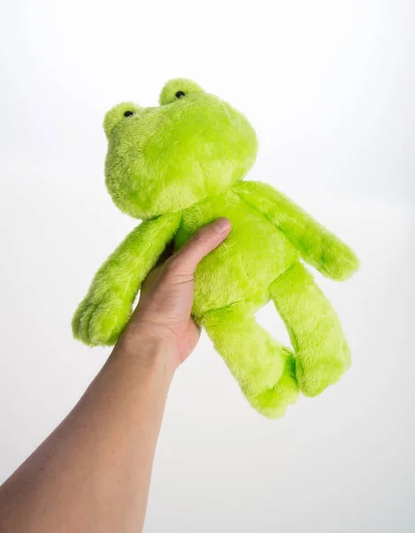 toy or frog soft toy on the background.