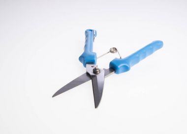 makas veya bir arka bahçe secateurs.