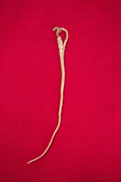 Ginseng. arka planda ginseng