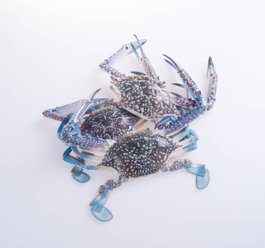 yengeçler. arka plan üzerinde yengeç. arka plan üzerinde Yengeç