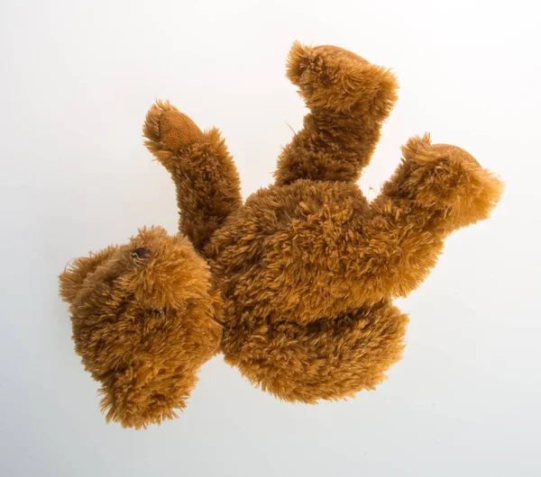 Urso de brinquedo ou brinquedo em um fundo . — Fotografia de Stock