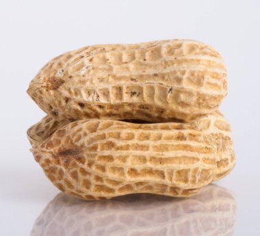 beyaz izole zemin üzerine fındık