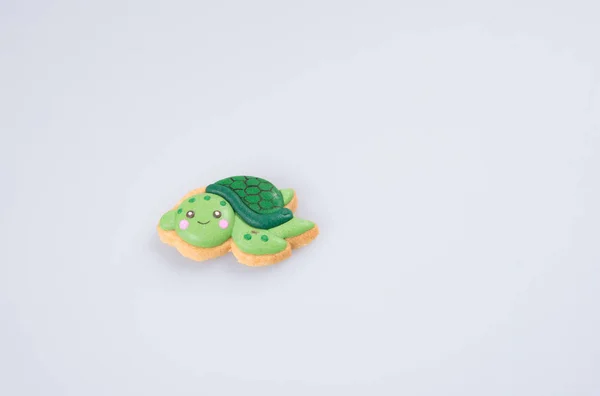 Dekoration eller hemmagjord ”sköldpaddan” kaka dekoration på en rygg — Stockfoto