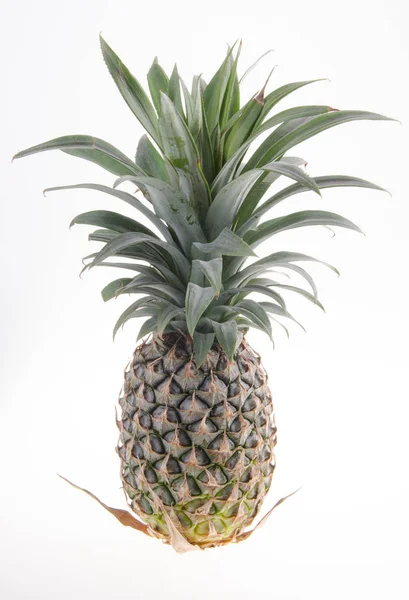 Pineapple, Pineapple tropical fruit on background — Stock Photo, Image