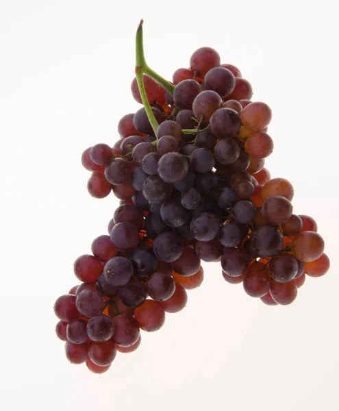 Grapes. grapes on background. — Stock Photo, Image