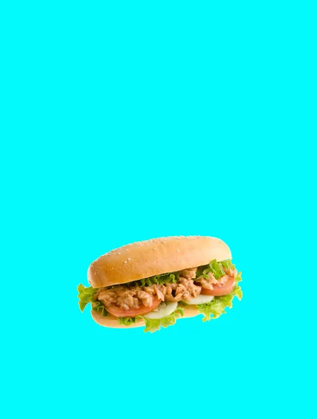 サンドイッチやホットドッグ サンドイッチ、背景、. — ストック写真