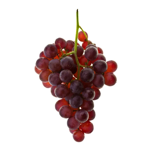 Winogrona lub świeże winogrona na tle nowym. — Zdjęcie stockowe