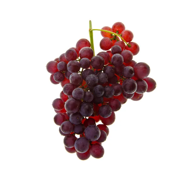 Winogrona lub świeże winogrona na tle nowym. Obraz Stockowy
