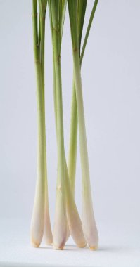 Lemon Grass on white background clipart