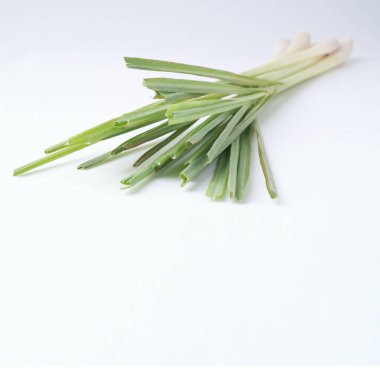 Beyaz arkaplanda limon otu