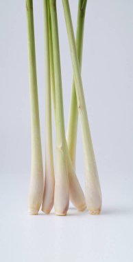 Beyaz arkaplanda limon otu