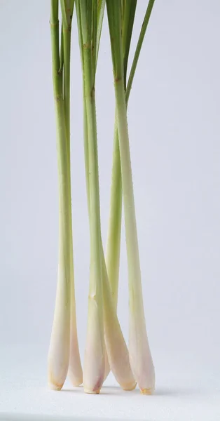 Zitronengras auf weißem Hintergrund — Stockfoto