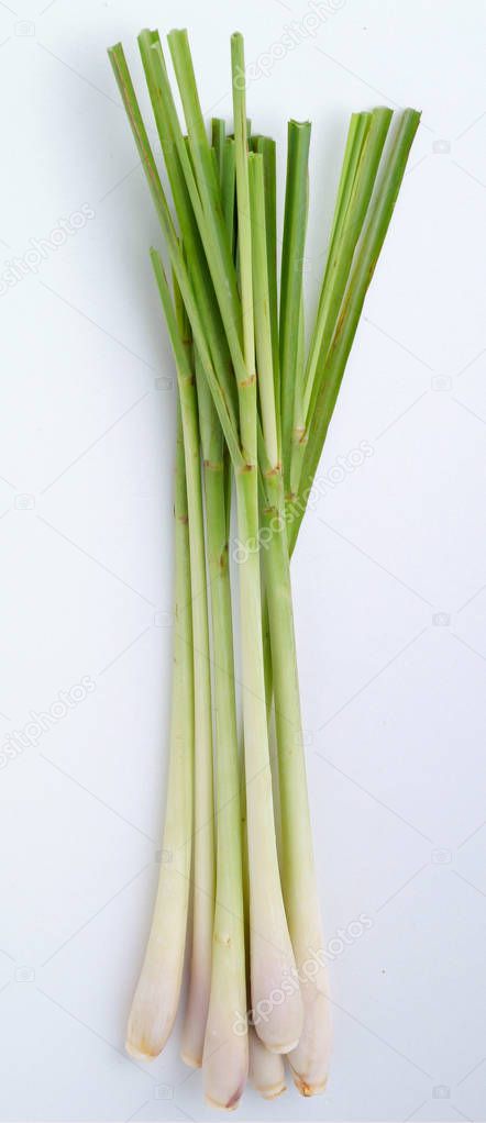 Lemon Grass on white background