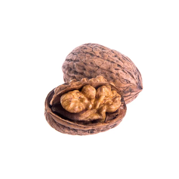 Nuts or walnuts on a background new. — Stock Photo, Image