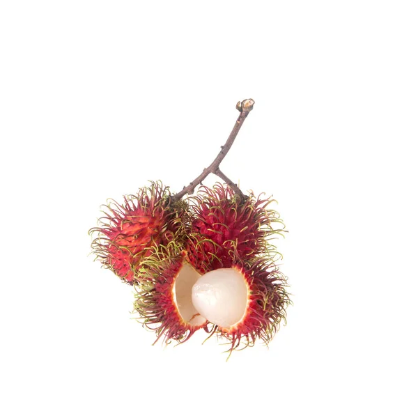 Rambutan vagy gyümölcs nyáron fehér alapon. — Stock Fotó