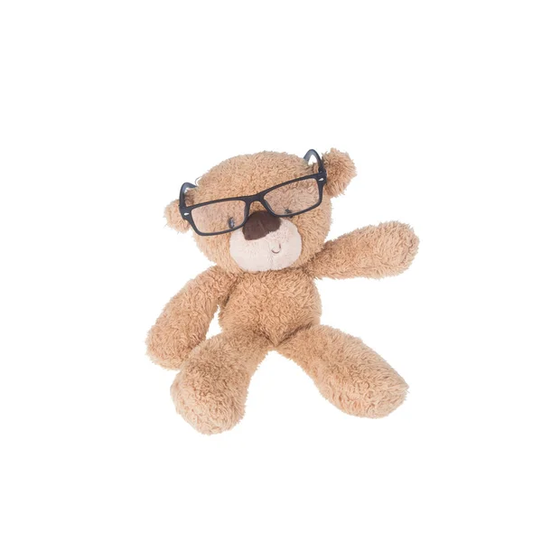 Jouet ou ours en peluche portant des lunettes avec concept nouveau . — Photo
