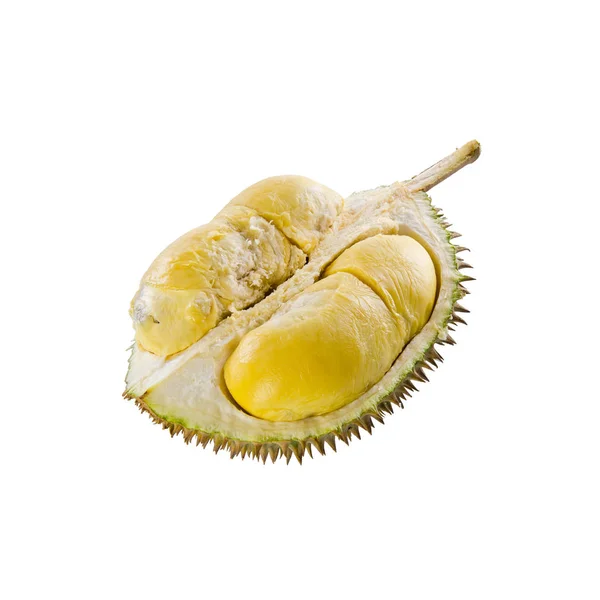 Durian Oder Durian Mit Konzept Zum Hintergrund Neu — Stockfoto