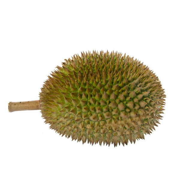 Durian Durian Met Concept Achtergrond Nieuw — Stockfoto