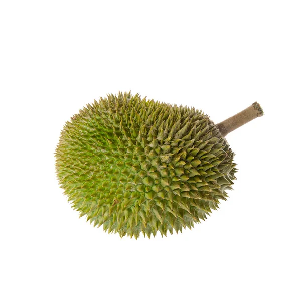 Durian Durian Met Concept Achtergrond Nieuw — Stockfoto