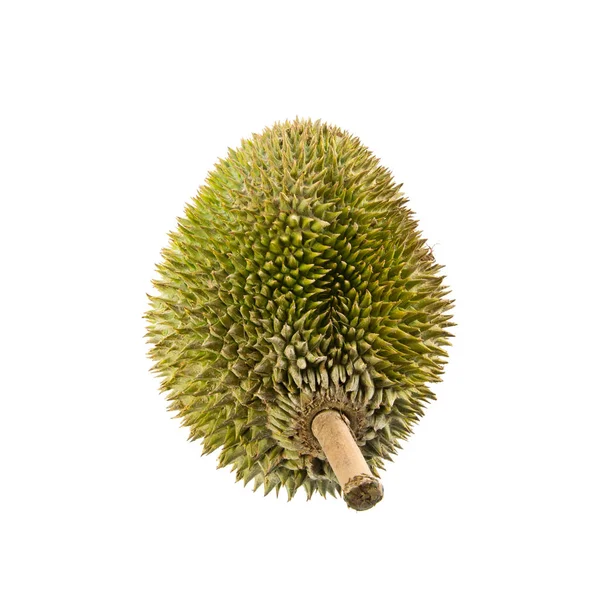 Durian Durian Met Concept Achtergrond Nieuw — Stockfoto