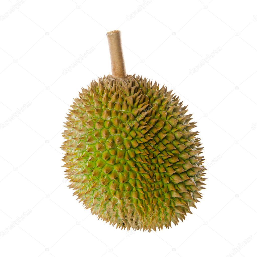 durian or durian with concept on background new