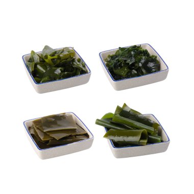 Yeni arka planda deniz yosunu ya da yenilebilir yosun