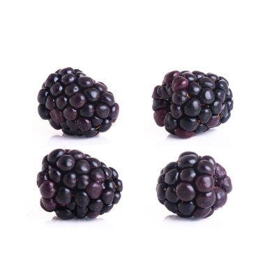 Yeni bir arkaplanda böğürtlen ya da taze böğürtlen