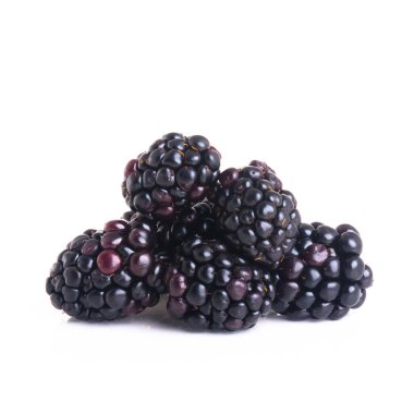 Yeni bir arkaplanda böğürtlen ya da taze böğürtlen