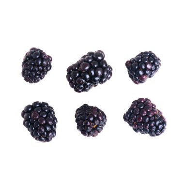 Yeni bir arkaplanda böğürtlen ya da taze böğürtlen