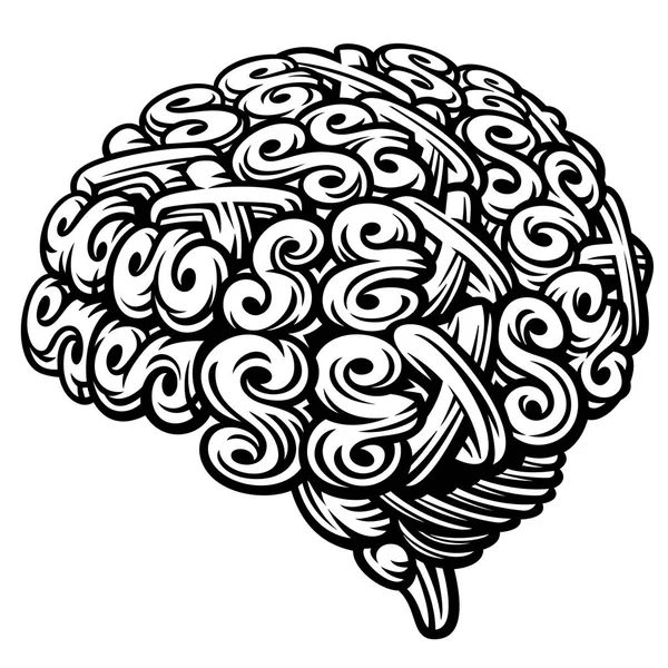 Cerveau sexuel — Image vectorielle