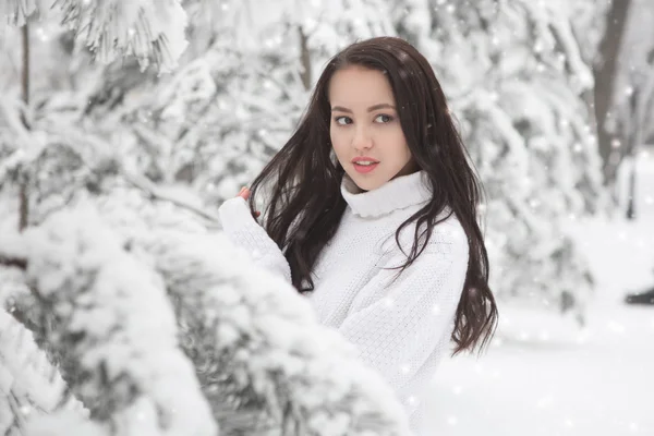 Under solen frostiga scenen — Stockfoto