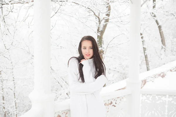 Doce menina bonita em suéter branco em um inverno — Fotografia de Stock