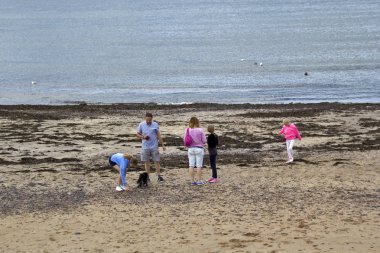 Turistler Eyemouth İskoçya, Birleşik Krallık'ın eğleniyor. 07.08.2015