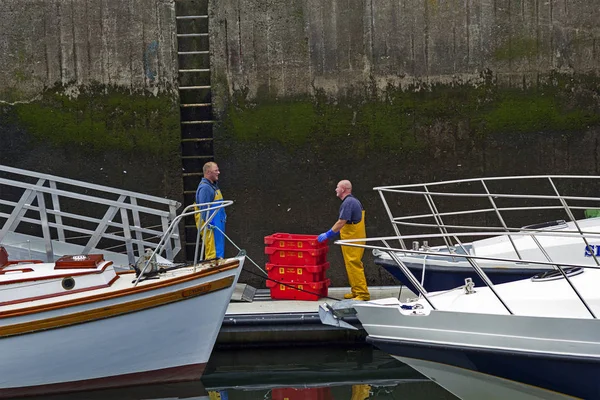 Pescatore che lavora nel porto di Eyemouth, Berwickshire in Scozia, Regno Unito. 07.08.2016 — Foto Stock