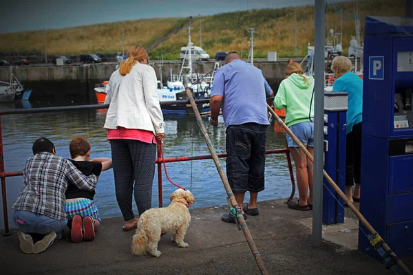 Turistas comprando comida de focas en Eyemouth, Escocia. 07.08.2015 — Foto de Stock
