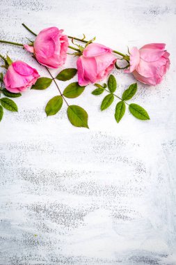 Beyaz boyalı arka planda, vintage tarzı güzel pembe güller