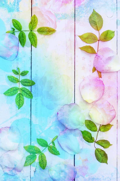 Красивый художественный фон с романтическими лепестками роз — стоковое фото