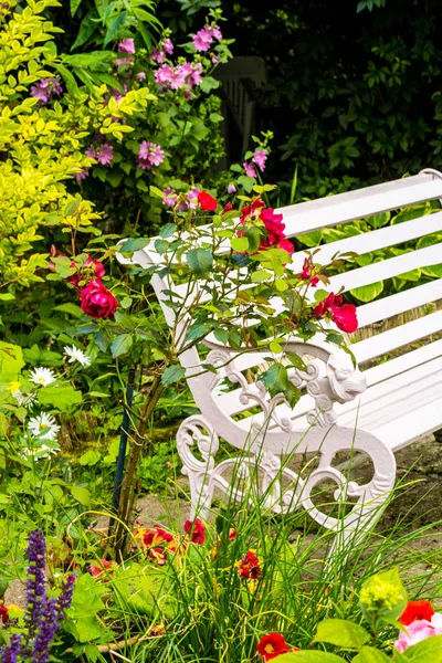 Hermoso, romántico, jardín casero con variedad de flores en flor, verano — Foto de Stock
