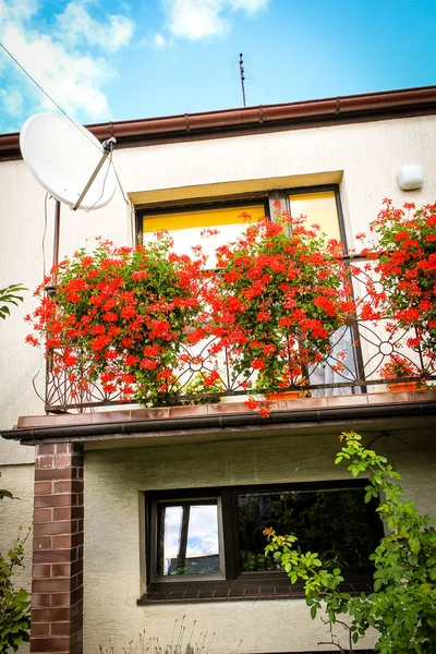 Červené pelargónie květiny v květináčích na thebalcony rodinného domu — Stock fotografie