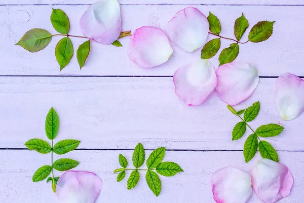 Prachtige roze rozen op witte geschilderde achtergrond, vintage stijl — Stockfoto