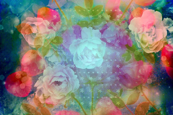 Mooie artistieke achtergrond met romantische roze rozen — Stockfoto