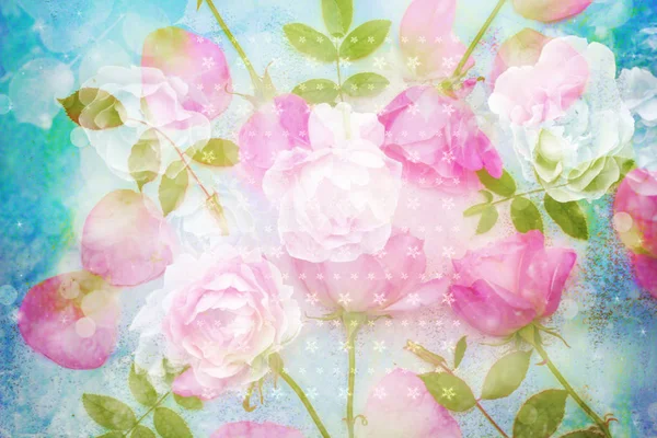 Bellissimo sfondo artistico con rose rosa romantiche — Foto Stock
