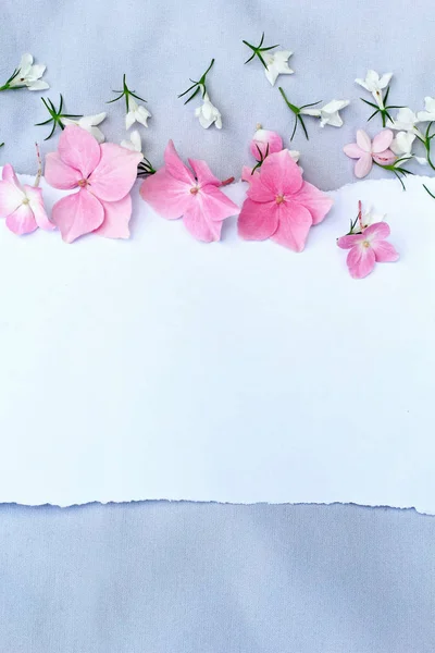 Beyaz arka plan üzerinde daire şeklinde pembe güller — Stok fotoğraf